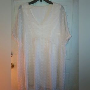 Women's Sheer Dress